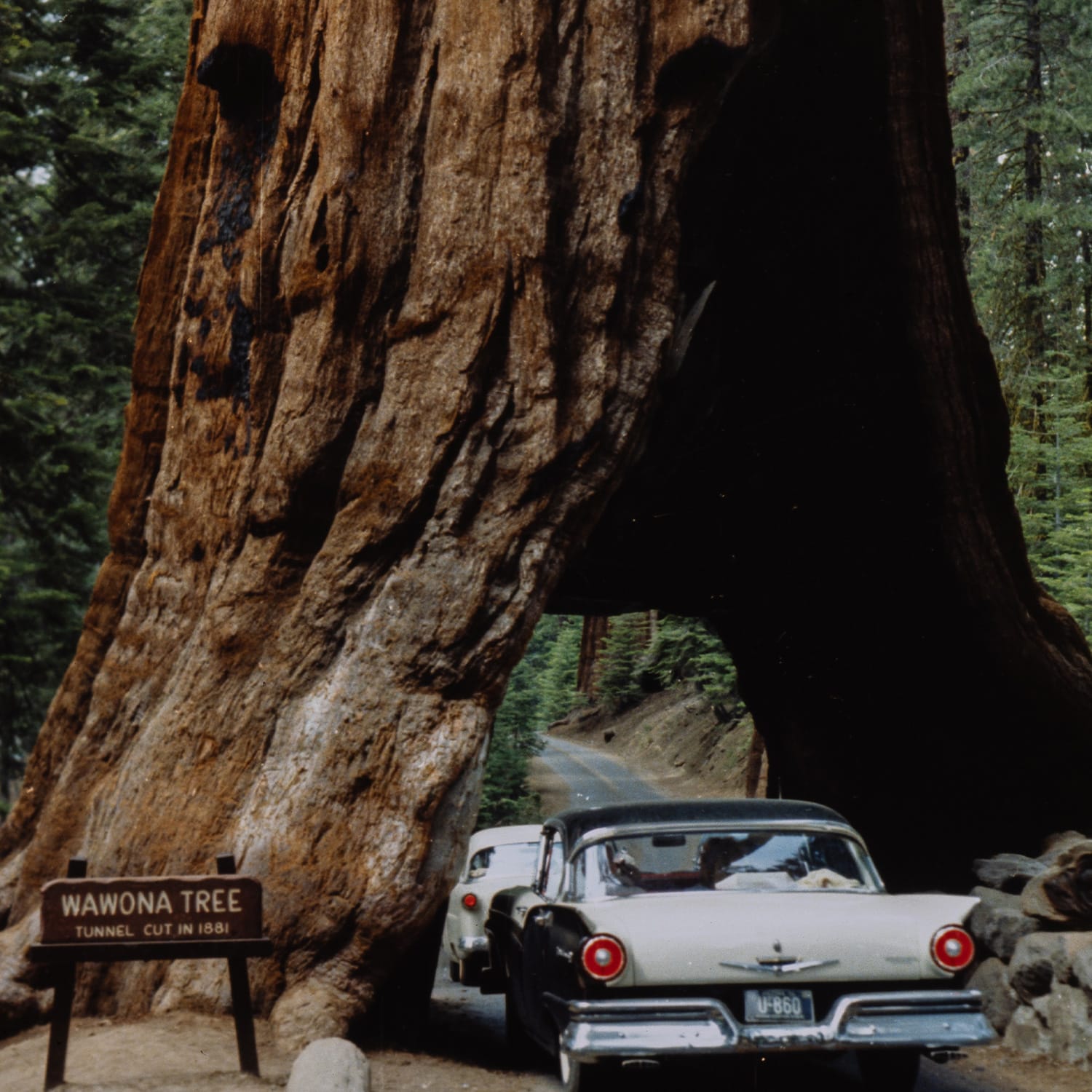 Sammlung — 09: Yosemite Nationalpark