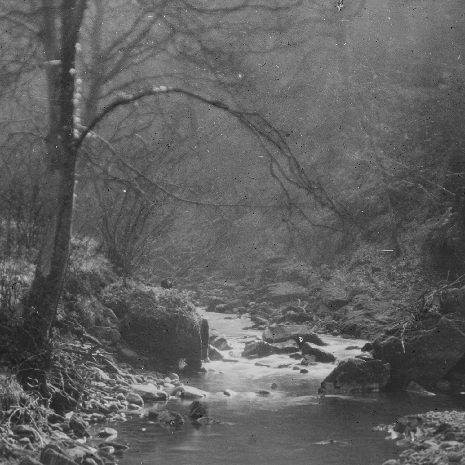 Fotografische Sammlung von R.T. Simpson aus Lancaster, 1903