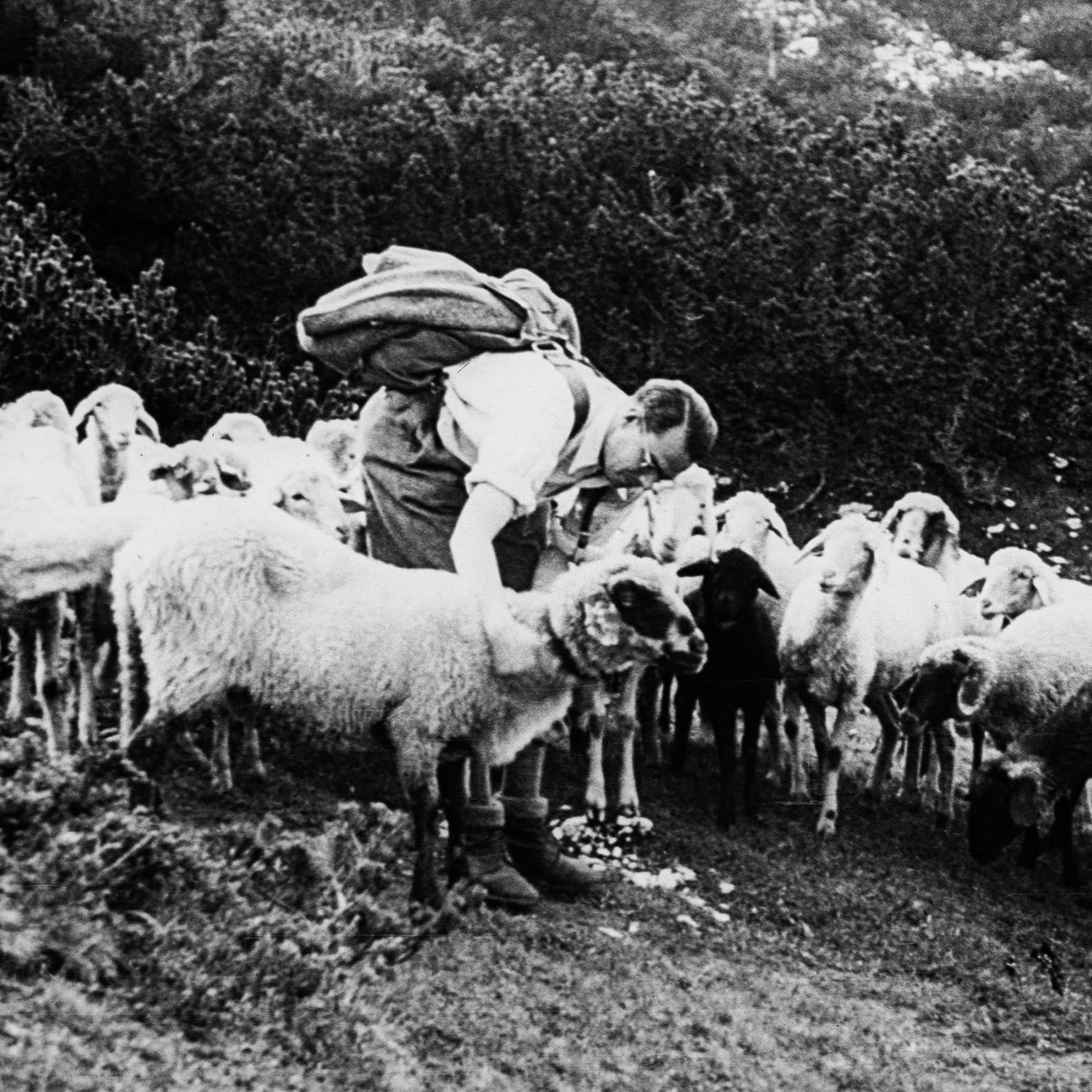 Sammlung — 12: Das Kaisergebirge im Tirolerland