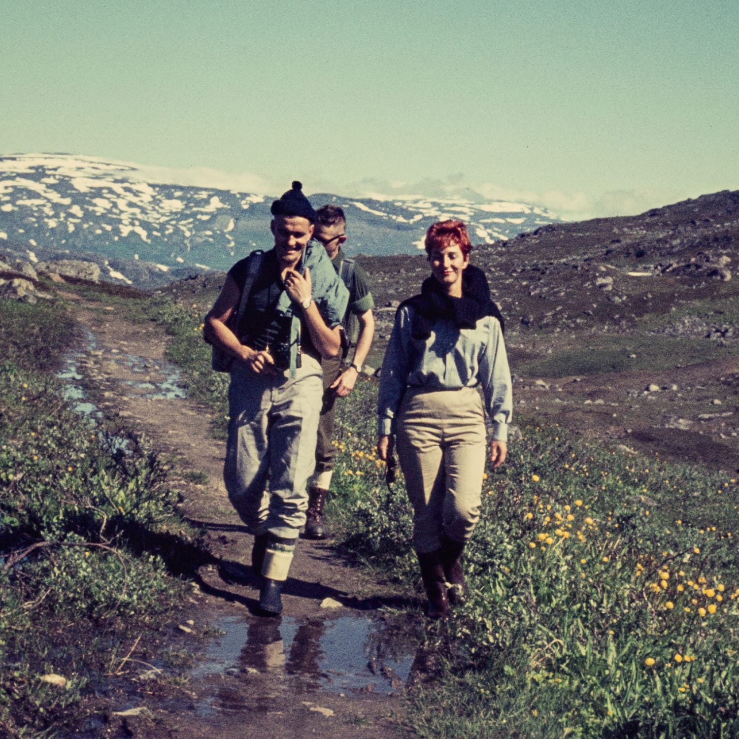 Sammlung 22: Abisko Nationalpark