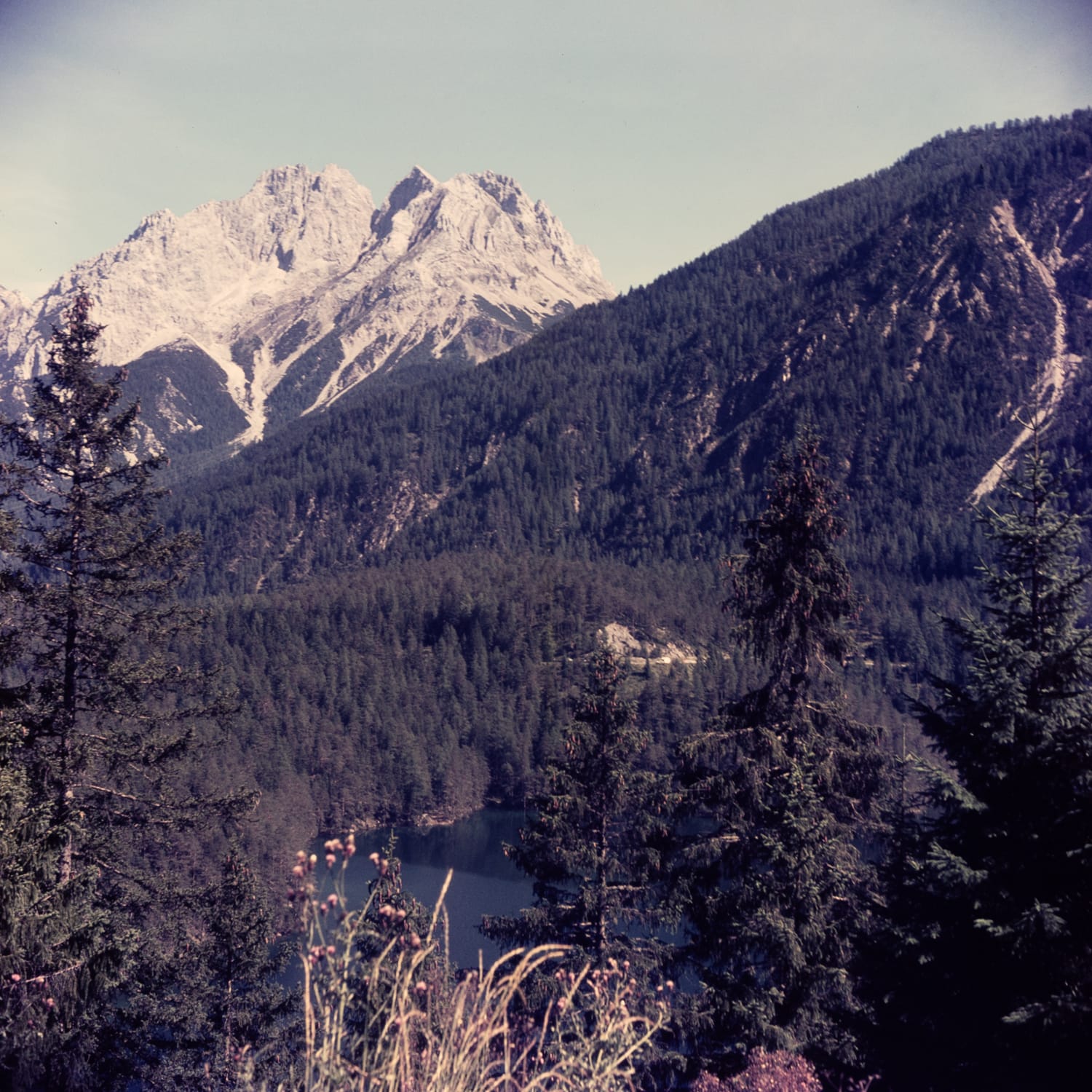 Rasthaus Zugspitzblick, Blick auf Mieminger Gebirge