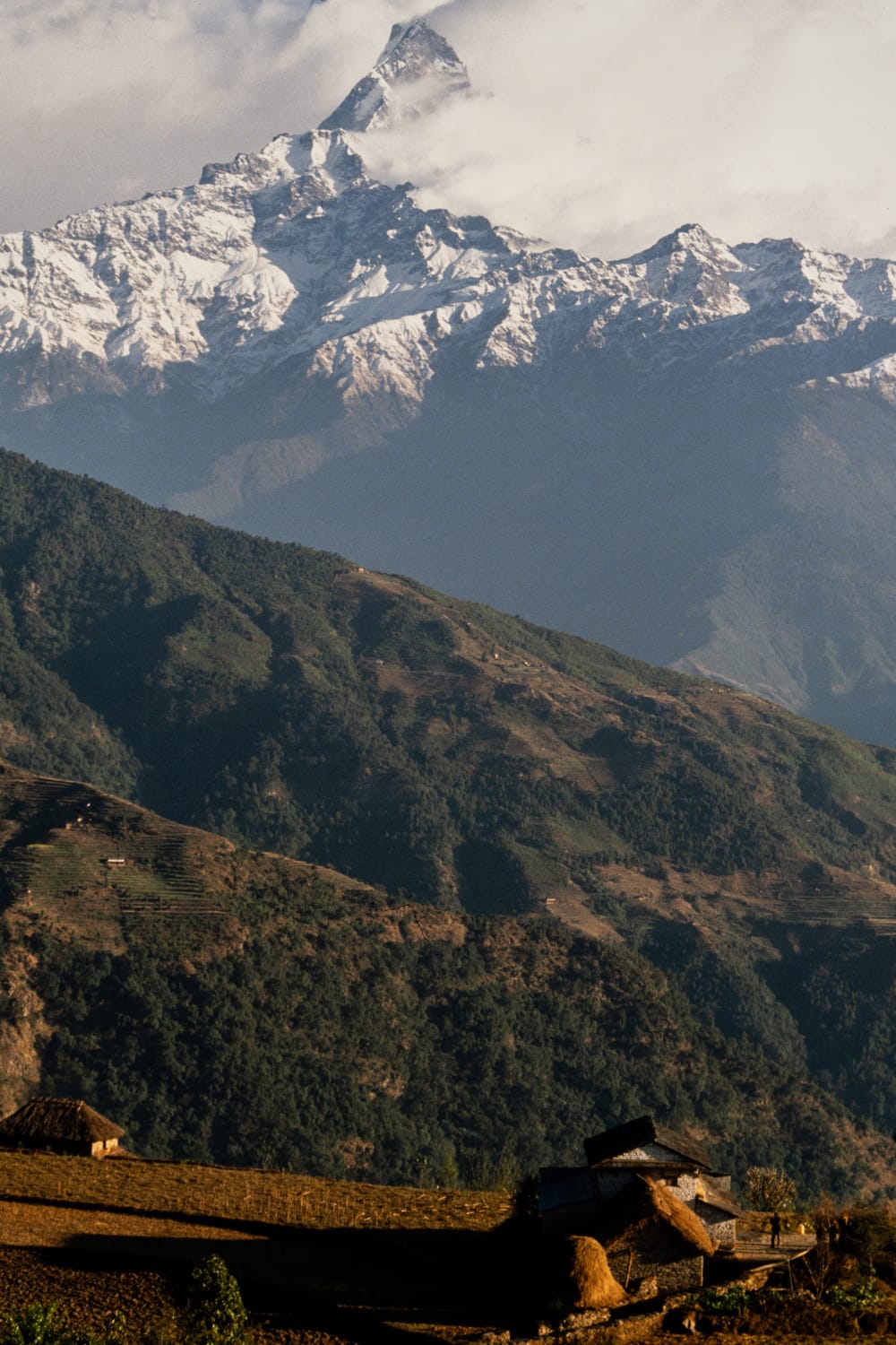Machhapuchhre