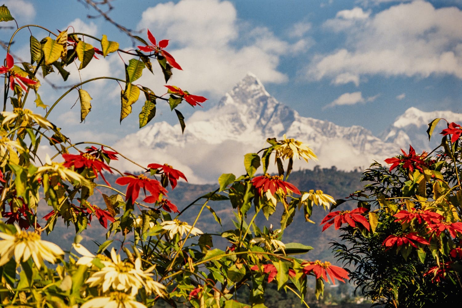 Machapuchare