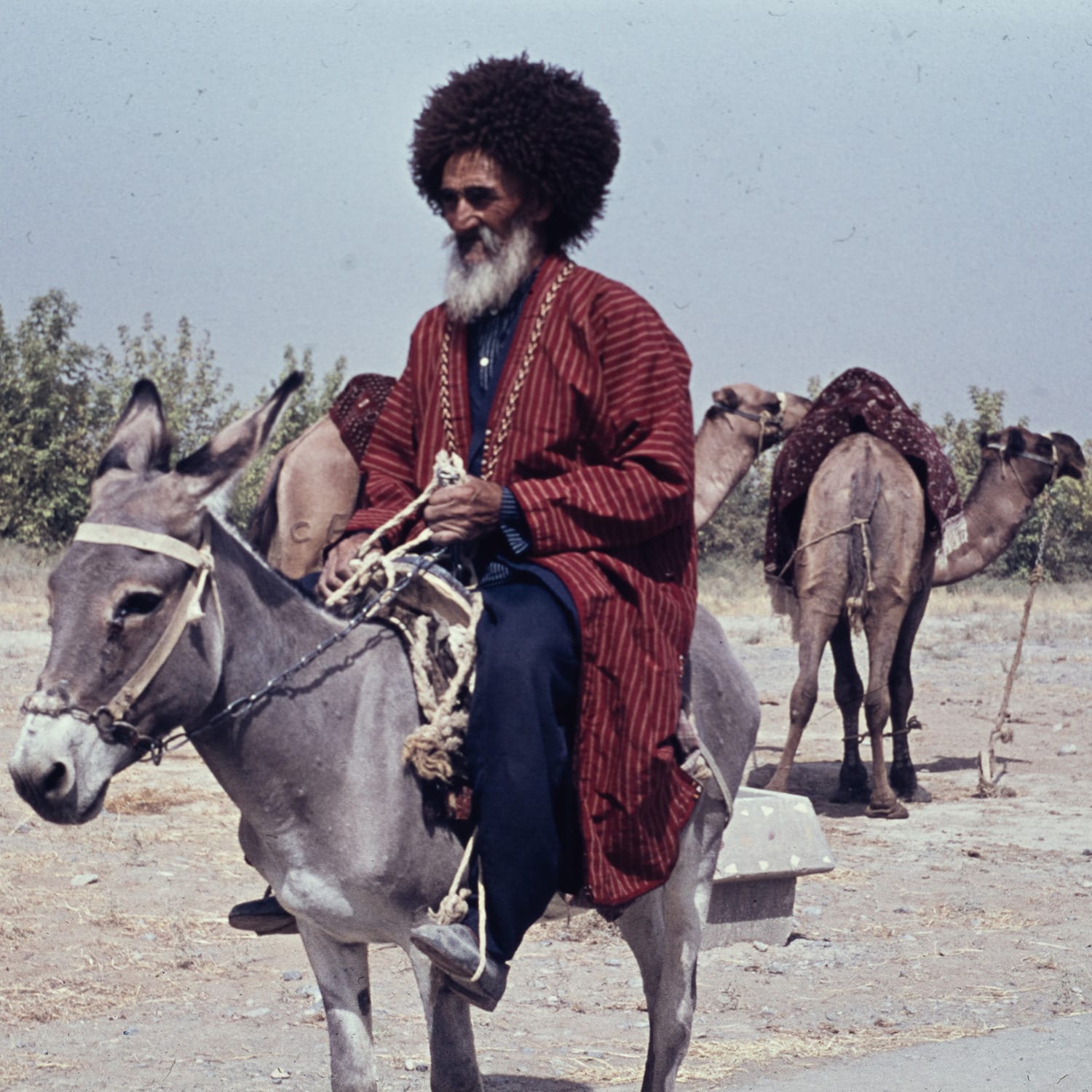 Sammlung — 06: Aserbaidschan & Usbekistan